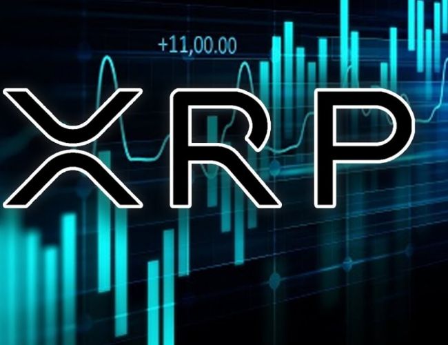 Speculation Suggests Google is Running an XRP Ledger (XRPL) Node: Here are Facts