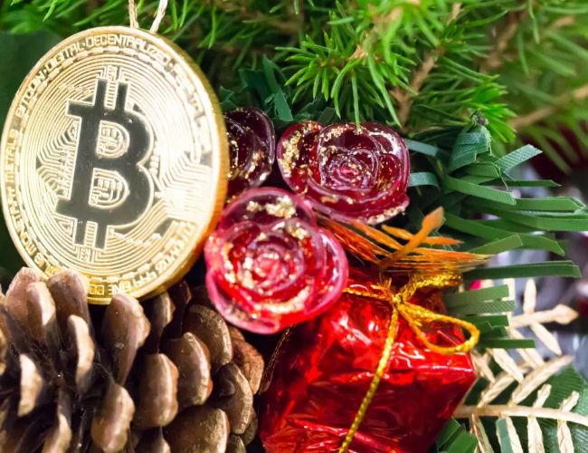 Crypto Holiday Gift Guide 2023