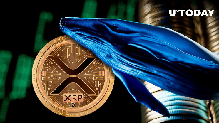 XRP Whales Go on Major Accumulation Spree, Price Revival Incoming?