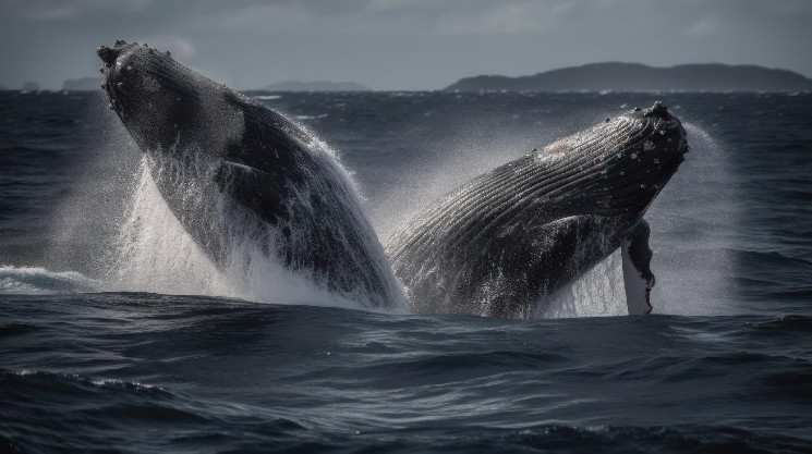 Ethereum Whales move ETH worth $1B as enthusiasts eye Q1 2024