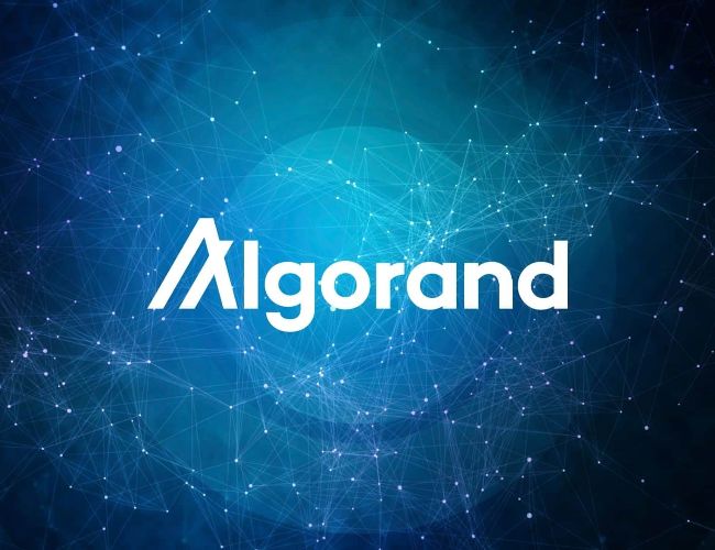 Algorand (ALGO) Stuns In Q4: Market Cap Soars, TVL Doubles, And User Base Skyrockets