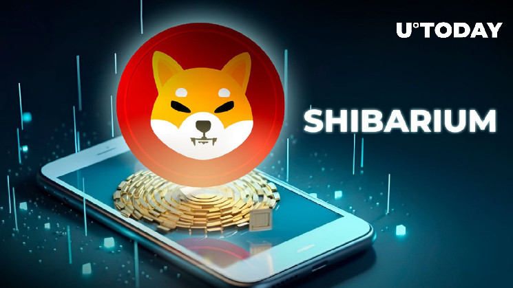 Shiba Inu’s Shibarium Skyrockets 254% in New Accounts Activity