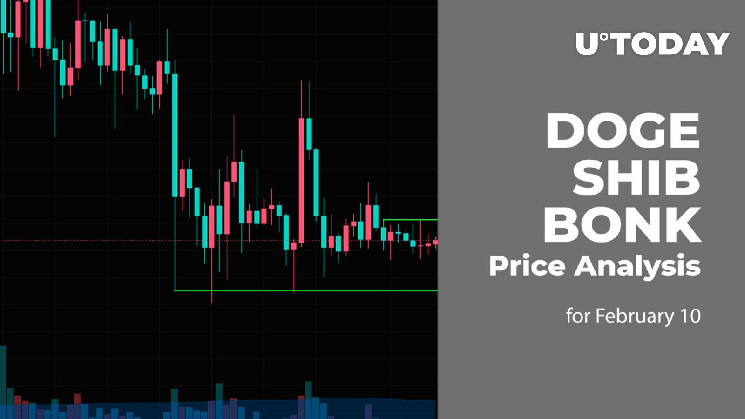 DOGE, SHIB and BONK Price Prediction for February 10